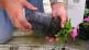 How to take a potting soil sample?
